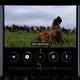 Image for article titled All the New Features Coming to iOS 13